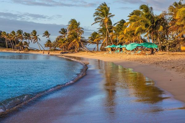 Caribbean-Grenada-Mayreau Island Beach umbrellas and lounge chairs